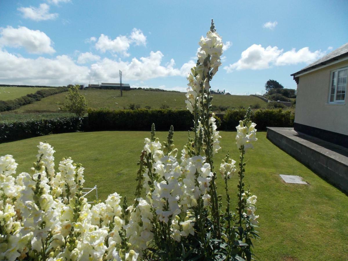 Craig Eithin B & B Holyhead Exterior foto